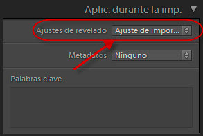 Preset de importación - Aplicar al importar