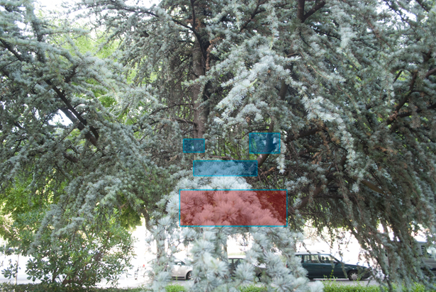 ARBOL 02