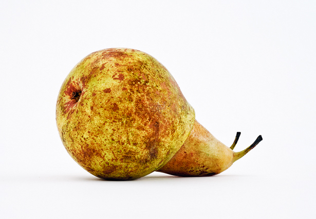 SnailPear