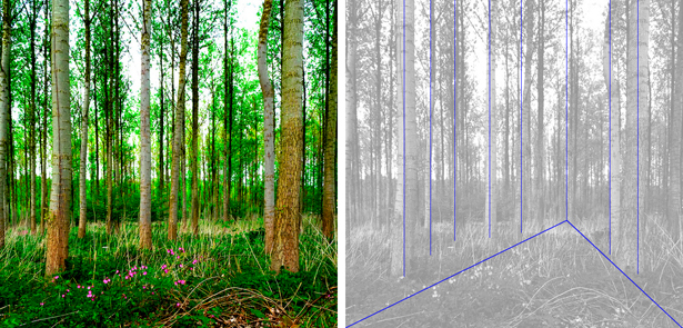 Líneas Verticales Significado y Uso en Lenguaje Visual