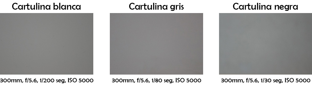 Fotografías a cartulinas