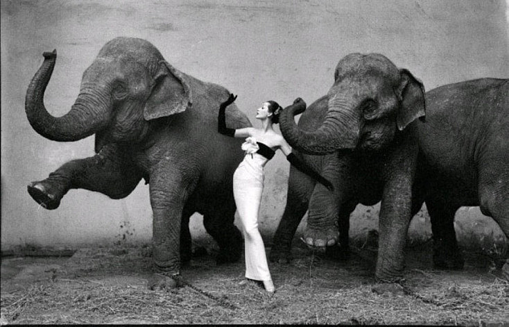 Richard Avedon destacada