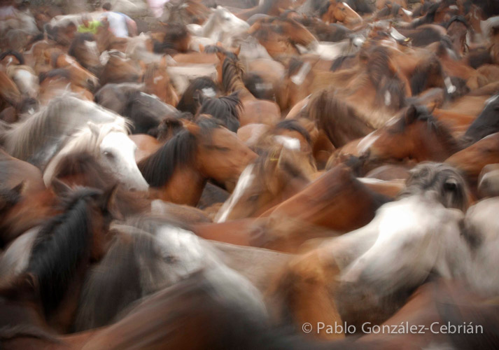 Foto propia que ilustra la captación de movimiento y el concepto de tomar riesgos