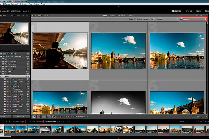 Arriba a la derecha aparecen las opciones del filtro de texto. En la caja de texto podemos introducir cualquier búsqueda. Abajo a la izquierda aparece el número de fotos filtradas respecto del total.