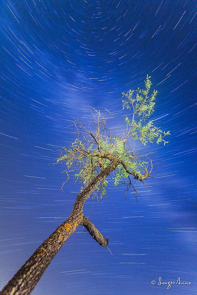 Mismo encuadre con distintos parámetros. Fotografía tomada con un 14mm a f/2.8, 2117 segundos a ISO 100. En esta ocasión, el árbol se ha iluminado con luz artificial.