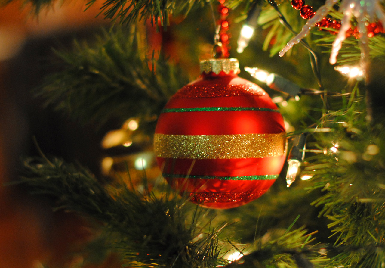 14 Consejos para Hacer Mejores Fotos en Navidad
