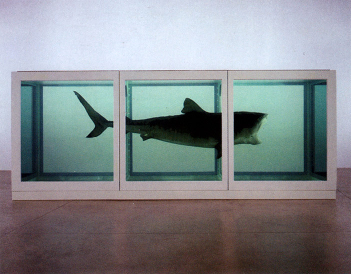 The Physical Impossibility of Death in the Mind of Someone Living (1991) © Damien Hirst por dou_ble_you (licencia CC) 