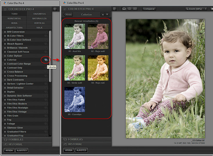 Color Efex Pro 4 - Presets de filtro