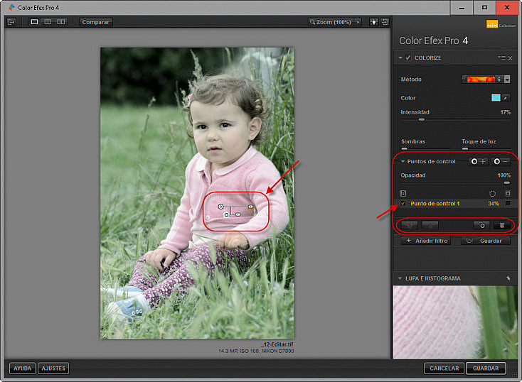 Color Efex Pro 4 - Puntos de control