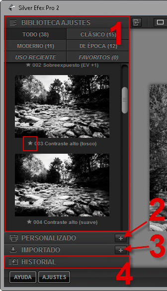 Silver Efex Pro 2 - Panel izquierdo