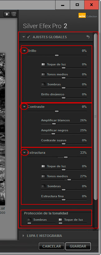 Silver Efex Pro 2 - Ajustes globales