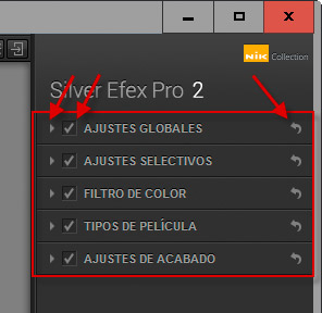 Silver Efex Pro 2 - Ajustes del panel derecho