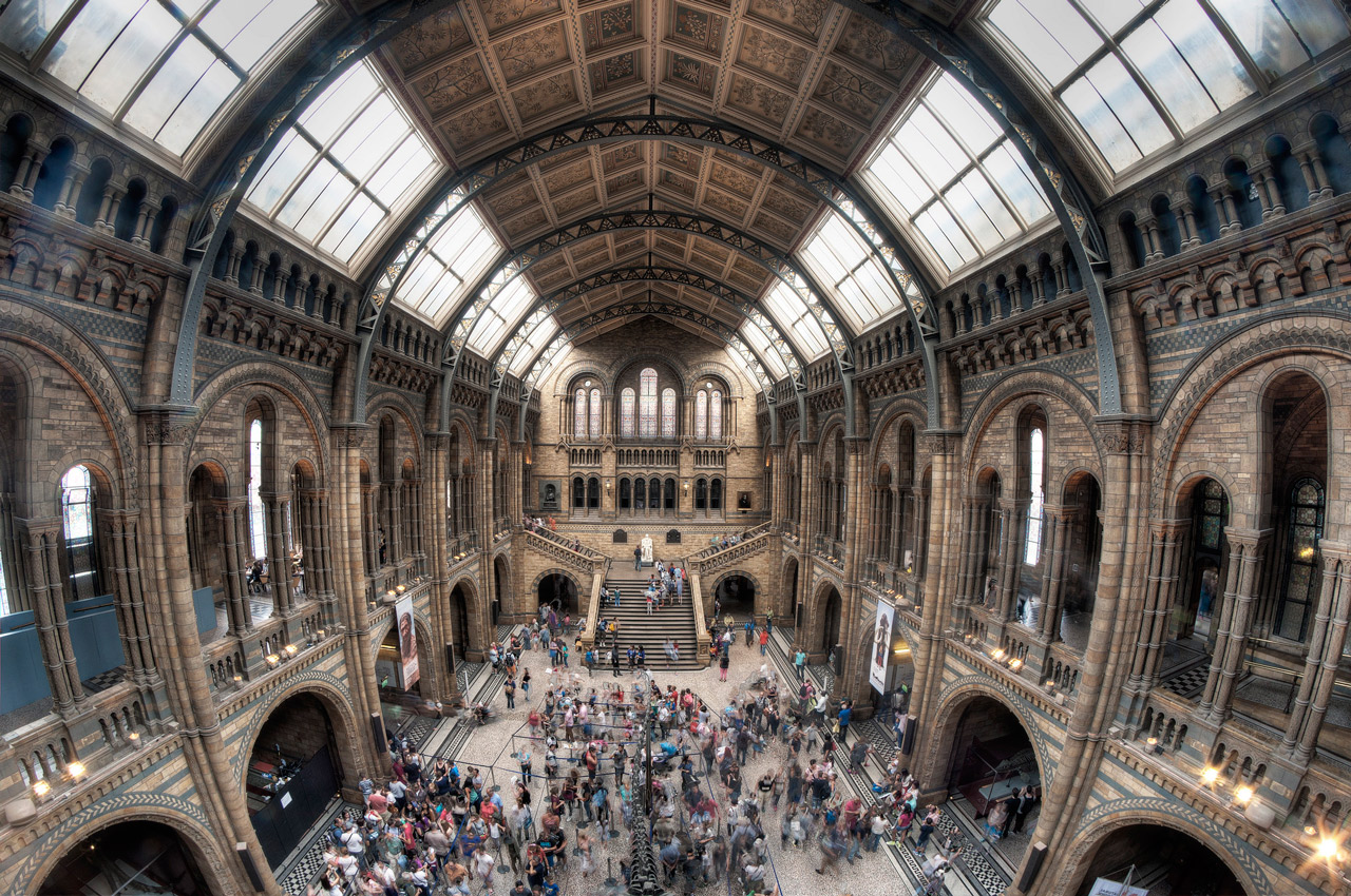 Objetivos Ojo de Pez, Todo lo