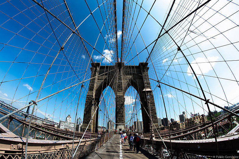 Resultado de imagen de OJO de pez