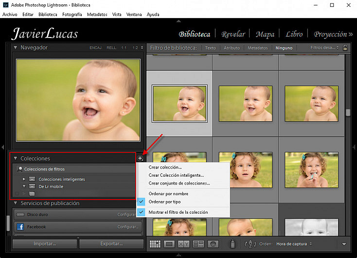 Lightroom - Crear colección