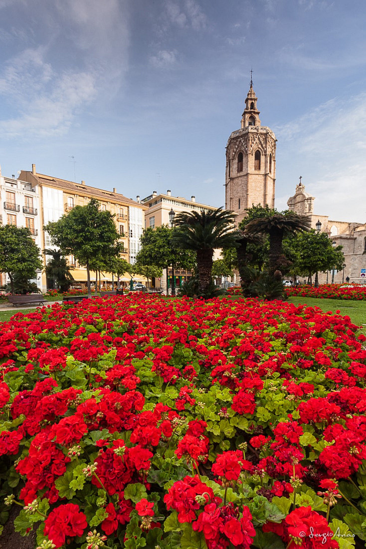 El filtro polarizador satura el cielo azul, y crea un bonito contraste con el rojo de las flores.