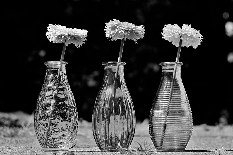florero-en-blanco-y-negro-con-efecto-freeman-ok-810x540.jpg