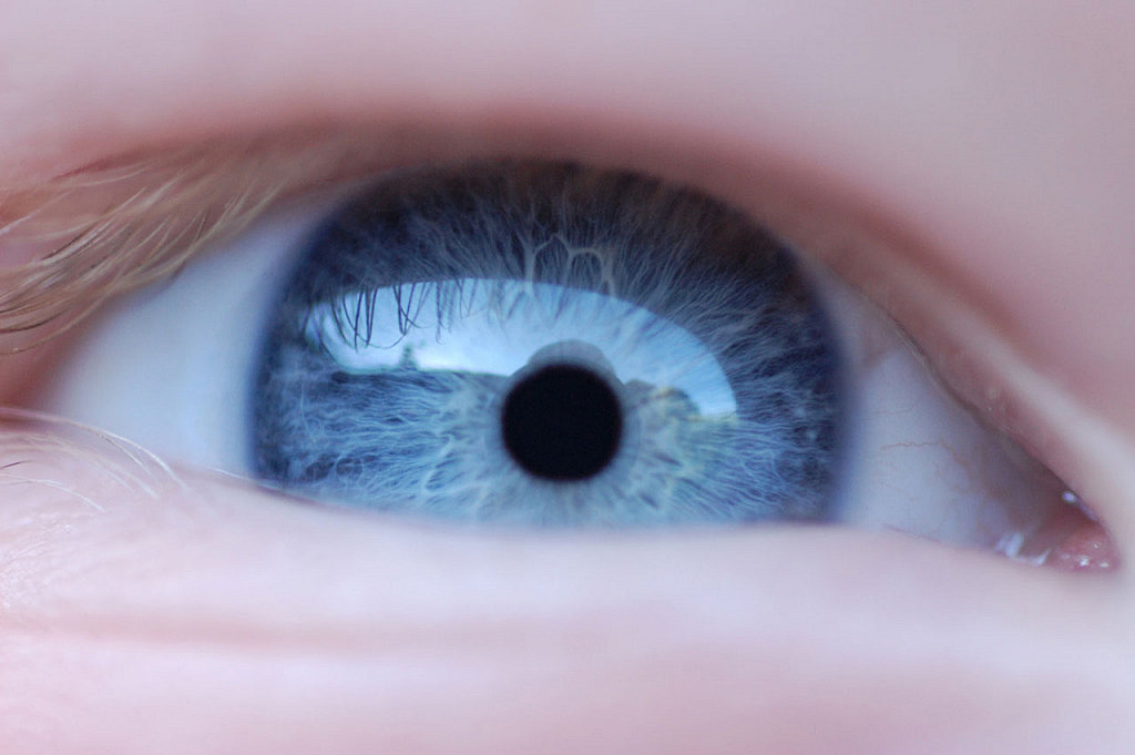 Cómo Fotografiar los Ojos de una