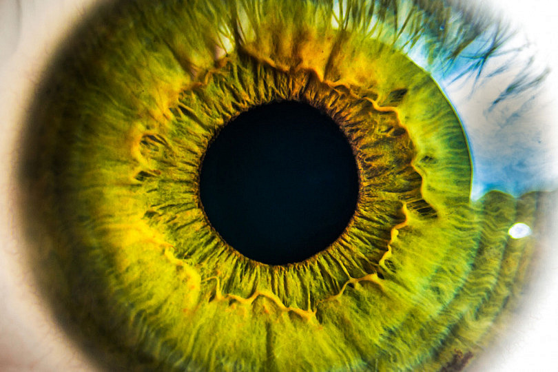 Cómo Fotografiar los Ojos de una