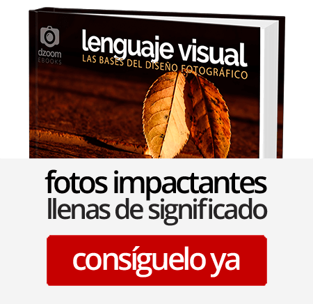 Lenguaje Visual: las Bases del Diseño Fotográfico