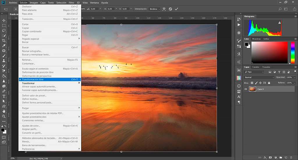 La Herramienta Transformación Libre de Photoshop: Todo lo que Necesitas