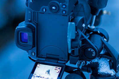 Aspectos a Tener en Cuenta a la Hora de Elegir una Cámara