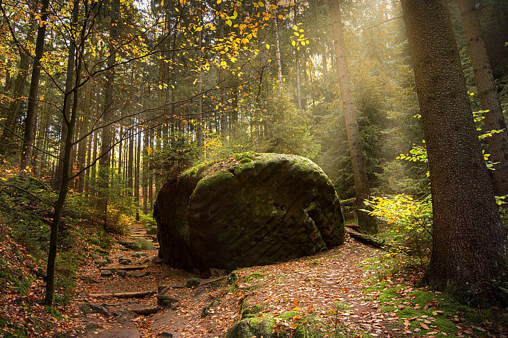 Roca en otoño