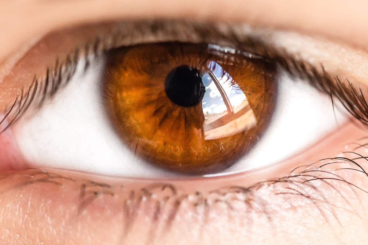 7 Consejos Para Realizar Fotografía Macro de Ojos