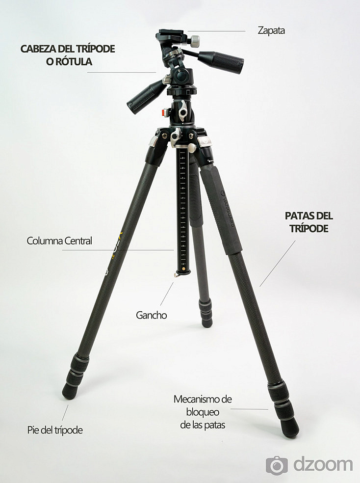 llamar Ahorro sombrero Guía Definitiva para Elegir el Trípode que Necesitas