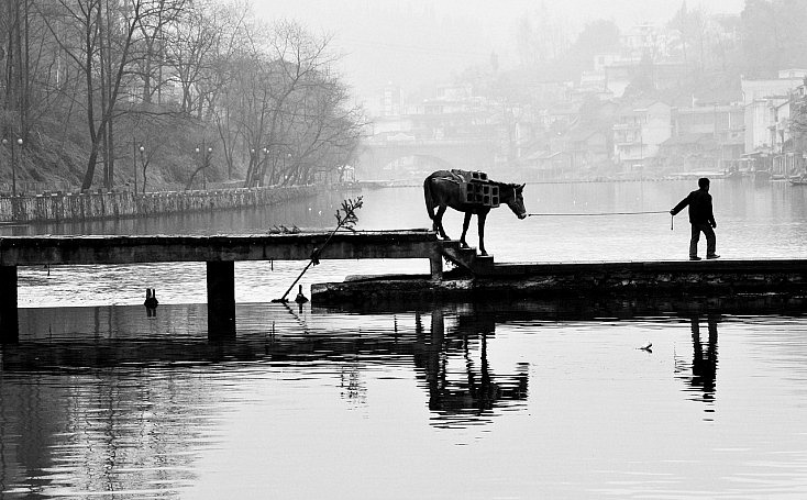 Consejo 3 - Al mal tiempo, buena cara - Fotografía con niebla